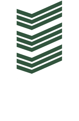 MS logo